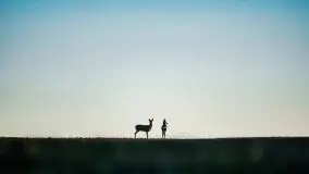 Miłośnicy Mazur - przedwiośnie na zdjęciach Staszka Sielewicza - zdjęcie 44