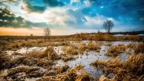 Miłośnicy Mazur - przedwiośnie na zdjęciach Staszka Sielewicza - zdjęcie 33