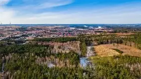 Przedwiośnie 2021 nad jeziorem Białym - zdjęcie 3