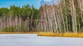 Przedwiośnie 2021 nad jeziorem Białym - zdjęcie 8