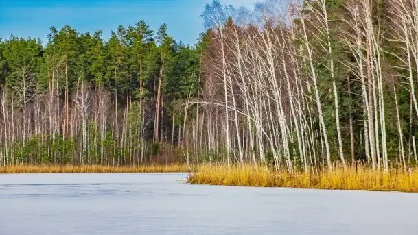 Przedwiośnie 2021 nad jeziorem Białym - zdjęcie 8