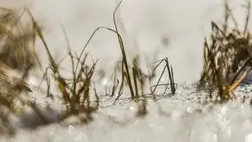 Przedwiośnie 2021 nad jeziorem Białym - zdjęcie 31