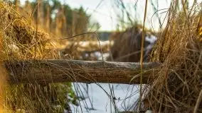 Przedwiośnie 2021 nad jeziorem Białym - zdjęcie 51