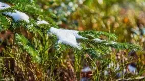 Przedwiośnie 2021 nad jeziorem Białym - zdjęcie 58