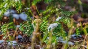 Przedwiośnie 2021 nad jeziorem Białym - zdjęcie 50