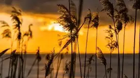 Efekt halo - zachód słońca nad jeziorem Dargin - zdjęcie 15