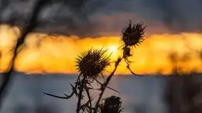 Efekt halo - zachód słońca nad jeziorem Dargin - zdjęcie 19