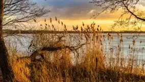 Efekt halo - zachód słońca nad jeziorem Dargin - zdjęcie 63