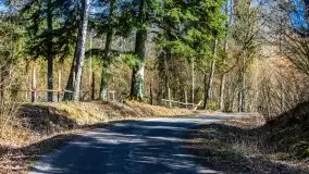 Wiosna w rezerwacie przyrody Borki, marzec 2021 - zdjęcie 8