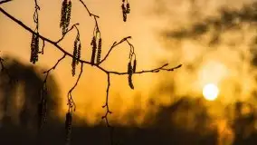 Zachód słońca nad jeziorem Gołdopiwo, od strony Przerwanek - zdjęcie 8