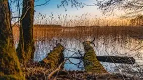 Zachód słońca nad jeziorem Gołdopiwo, od strony Przerwanek - zdjęcie 5