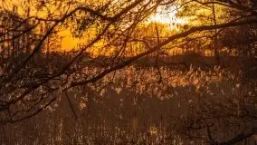 Zachód słońca nad jeziorem Gołdopiwo, od strony Przerwanek - zdjęcie 44