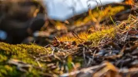 Zachód słońca nad jeziorem Gołdopiwo, od strony Przerwanek - zdjęcie 36