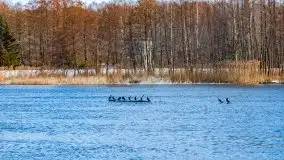 Przeprawa na Mazury, rzeki Narew i Pisa - zdjęcie 25