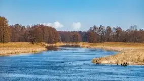 Przeprawa na Mazury, rzeki Narew i Pisa - zdjęcie 70