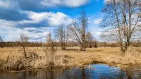 Przeprawa na Mazury, rzeki Narew i Pisa - zdjęcie 62