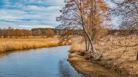 Przeprawa na Mazury, rzeki Narew i Pisa - zdjęcie 101