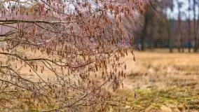 Przeprawa na Mazury, rzeki Narew i Pisa - zdjęcie 87