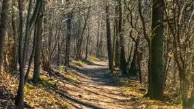 Narodziny nowego dnia w Wydminach, kwiecień 2021 - zdjęcie 49