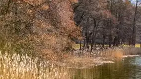 Narodziny nowego dnia w Wydminach, kwiecień 2021 - zdjęcie 44