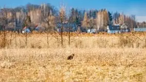 Przedwiosenny zachód słońca w porcie Kal, jezioro Mamry - zdjęcie 5