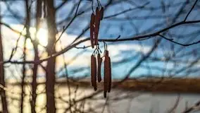 Przedwiosenny zachód słońca w porcie Kal, jezioro Mamry - zdjęcie 8