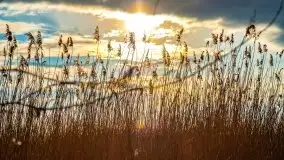 Przedwiosenny zachód słońca w porcie Kal, jezioro Mamry - zdjęcie 3