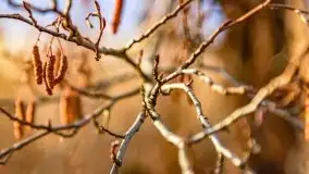 Przedwiosenny zachód słońca w porcie Kal, jezioro Mamry - zdjęcie 23