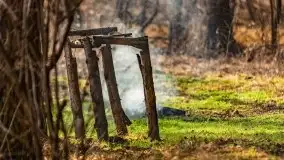 Wiosenny las przy jeziorze Gołdopiwo - zdjęcie 9