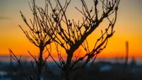 Po-zachód słońca przy wsi Upałty - zdjęcie 4