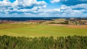 Szukaliśmy oznak wiosny w Olecku - zdjęcie 5