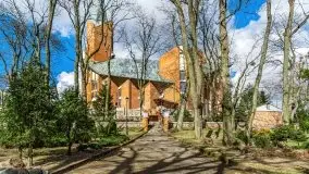 Szukaliśmy oznak wiosny w Olecku - zdjęcie 14