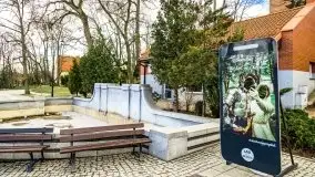 Szukaliśmy oznak wiosny w Olecku - zdjęcie 32