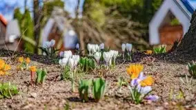 Szukaliśmy oznak wiosny w Olecku - zdjęcie 26