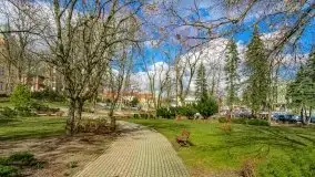 Szukaliśmy oznak wiosny w Olecku - zdjęcie 78