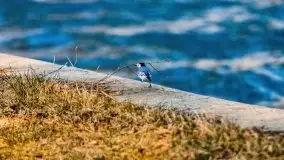 Śluza Karwik na początku wiosny 2021 - zdjęcie 25