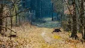 Śluza Karwik na początku wiosny 2021 - zdjęcie 15