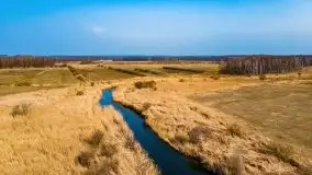 Przedwiośnie przy rzece Białoławka, marzec 2021 - zdjęcie 6