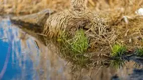 Przedwiośnie przy rzece Białoławka, marzec 2021 - zdjęcie 17