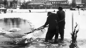 Przedwojenne zdjęcia Ostródy (Osterode) - zdjęcie 66