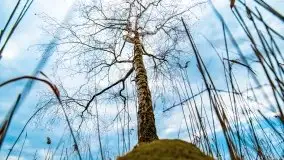 Kwietniowy deszczowy zachód słońca nad jeziorem Kruklin - zdjęcie 21