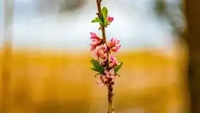 Kwietniowy deszczowy zachód słońca nad jeziorem Kruklin - zdjęcie 9