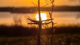 Wiosenny wschód słońca nad jeziorem Pozezdrze - zdjęcie 28