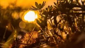 Wiosenny wschód słońca nad jeziorem Pozezdrze - zdjęcie 27