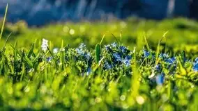 Mrągowo w wiosennym słońcu - zdjęcie 69