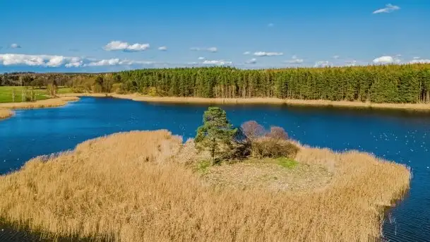 Piecki, ścieżka edukacyjna wokół stawu - zdjęcie 3
