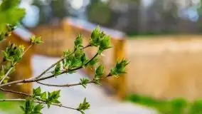 Piecki, ścieżka edukacyjna wokół stawu - zdjęcie 74