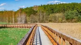 Piecki, ścieżka edukacyjna wokół stawu - zdjęcie 33