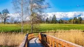 Piecki, ścieżka edukacyjna wokół stawu - zdjęcie 39