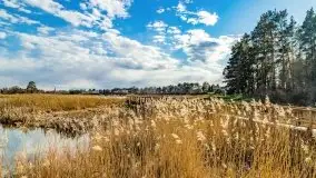 Piecki, ścieżka edukacyjna wokół stawu - zdjęcie 31